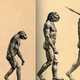 Ilustración para el artículo titulado Esta imagen que llevas viendo toda tu vida sobre la evolución humana tiene poco que ver con la realidad